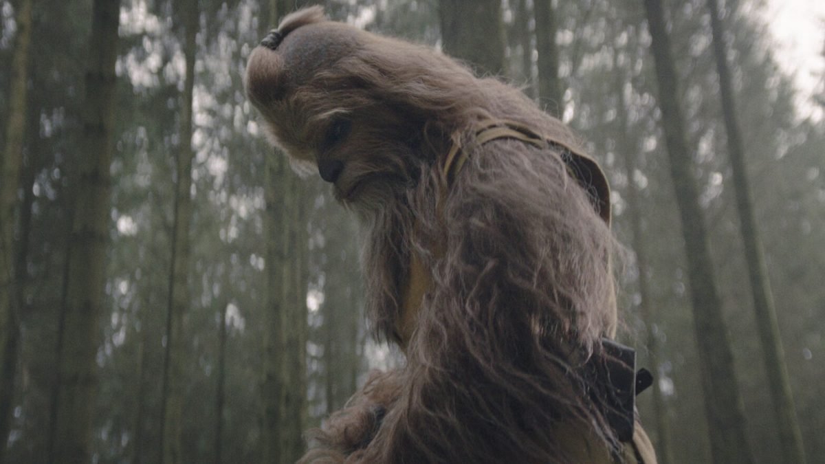 kelnacca wookiee jedi stands in the woods