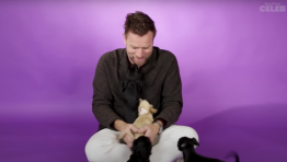 Watch Ewan McGregor Get Distracted by Puppies for Six Minutes